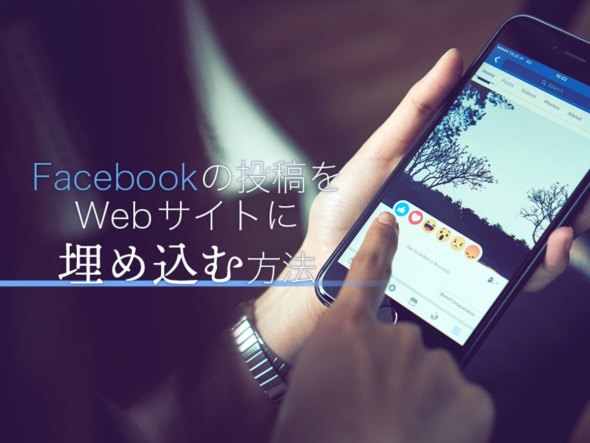 「Facebook（フェイスブック）の投稿をWebサイトに埋め込む方法」の見出し画像