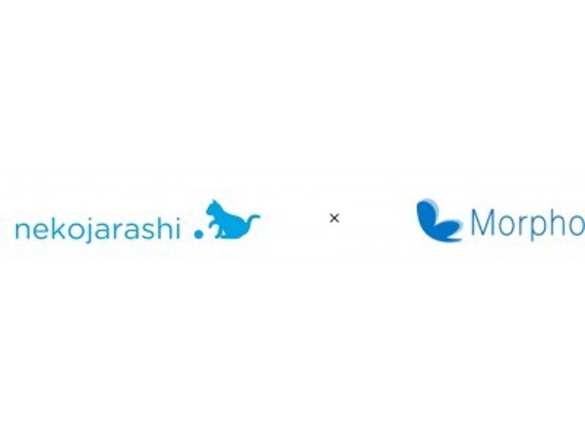 「クラウドサービスのねこじゃらし、モルフォと業務提携」の見出し画像
